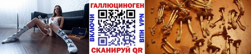KRAKEN ONION  Арсеньев  Псилоцибиновые грибы мицелий 